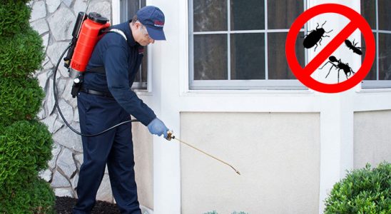 Aralık Böcek ve Haşere İlaçlama böcek ilaçlama ve haşere kontrolü — ilaclama-tr.com